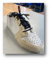 Shoes finished article